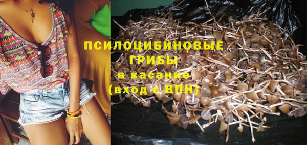 apvp Лагань
