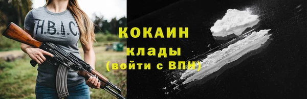 дмт Лабытнанги