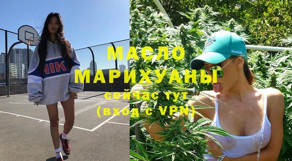 дмт Лабытнанги