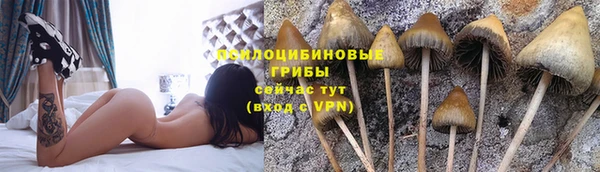 apvp Лагань
